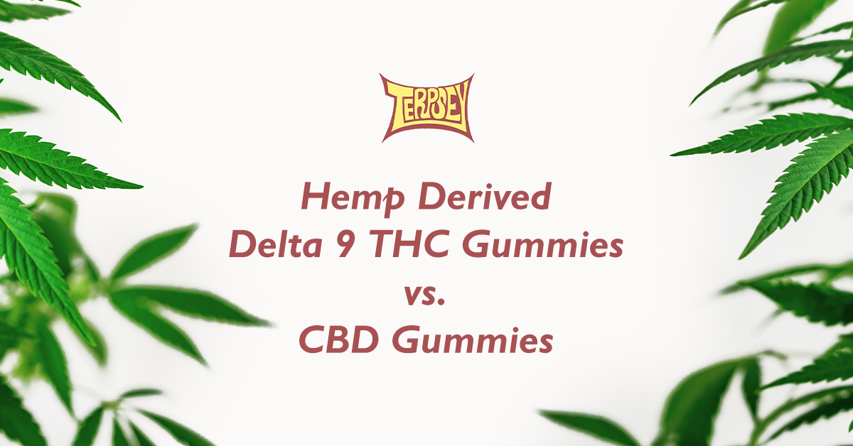 THC Gummies vs CBD Gummies